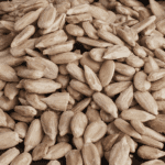 1600-semillas-maravilla-min.jpg