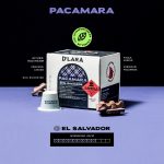 cápsulas – Pacamara – Detalles